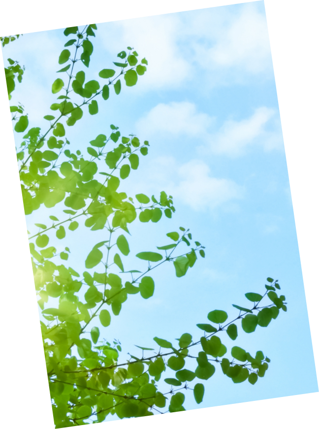 エネルギー事業